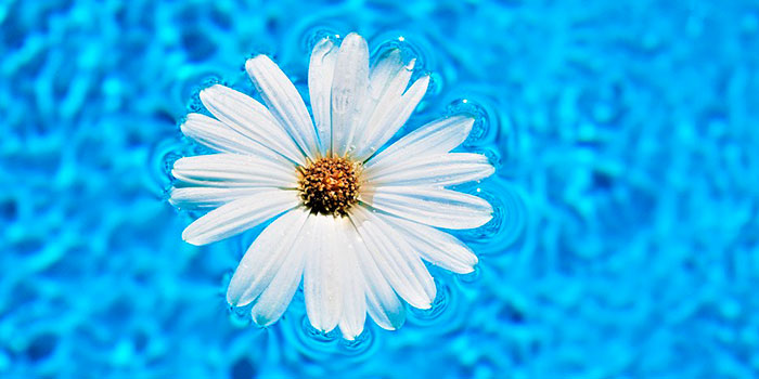 The salt chlorinator automatically and effectively disinfects the pool water without the need for chemicals.
