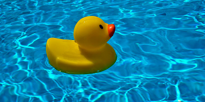 The salt chlorinator automatically and effectively disinfects the pool water without the need for chemicals.